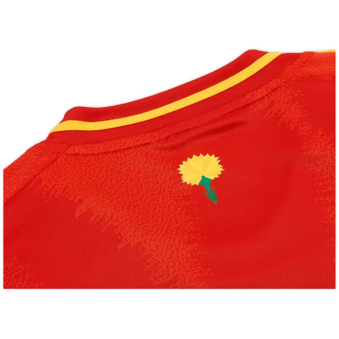 2024-25 Spain Home Kit