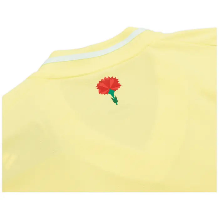 2024-25 Spain Away Kit